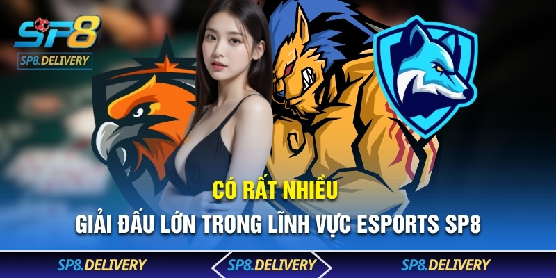 Có rất nhiều giải đấu lớn trong lĩnh vực eSports SP8