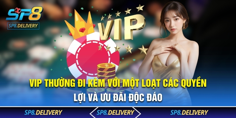 VIP thường đi kèm với một loạt các quyền lợi và ưu đãi độc đáo